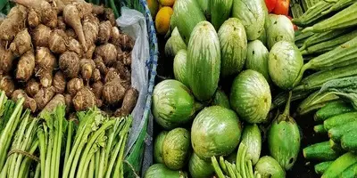 VEGETABLES