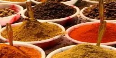 SPICES